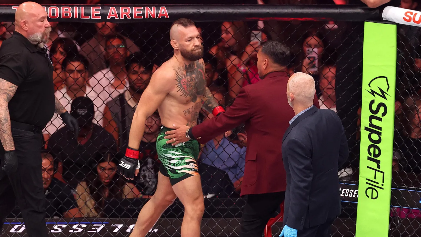 UFC 329: McGregor v Holloway 2